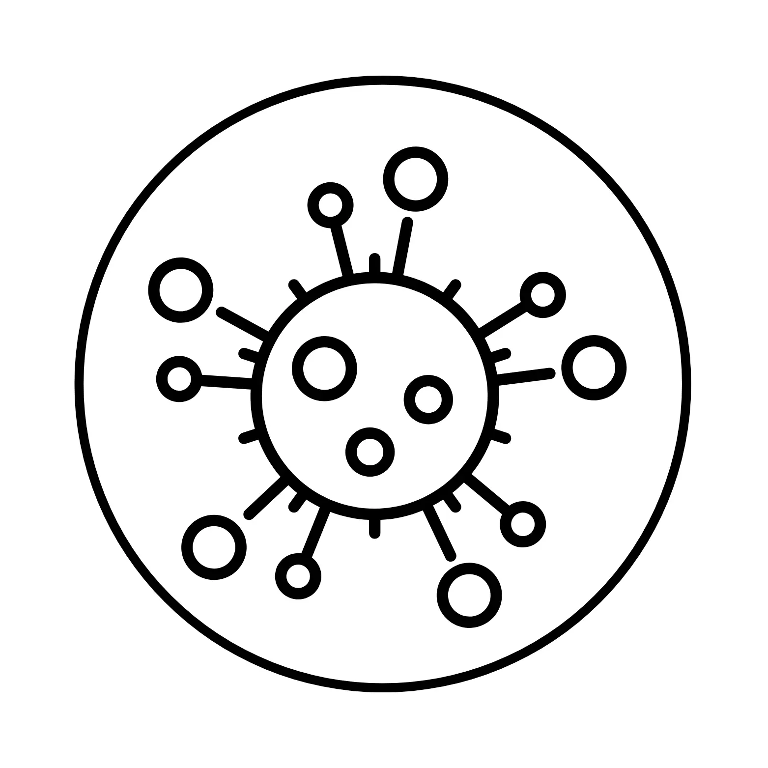 Cellular Function