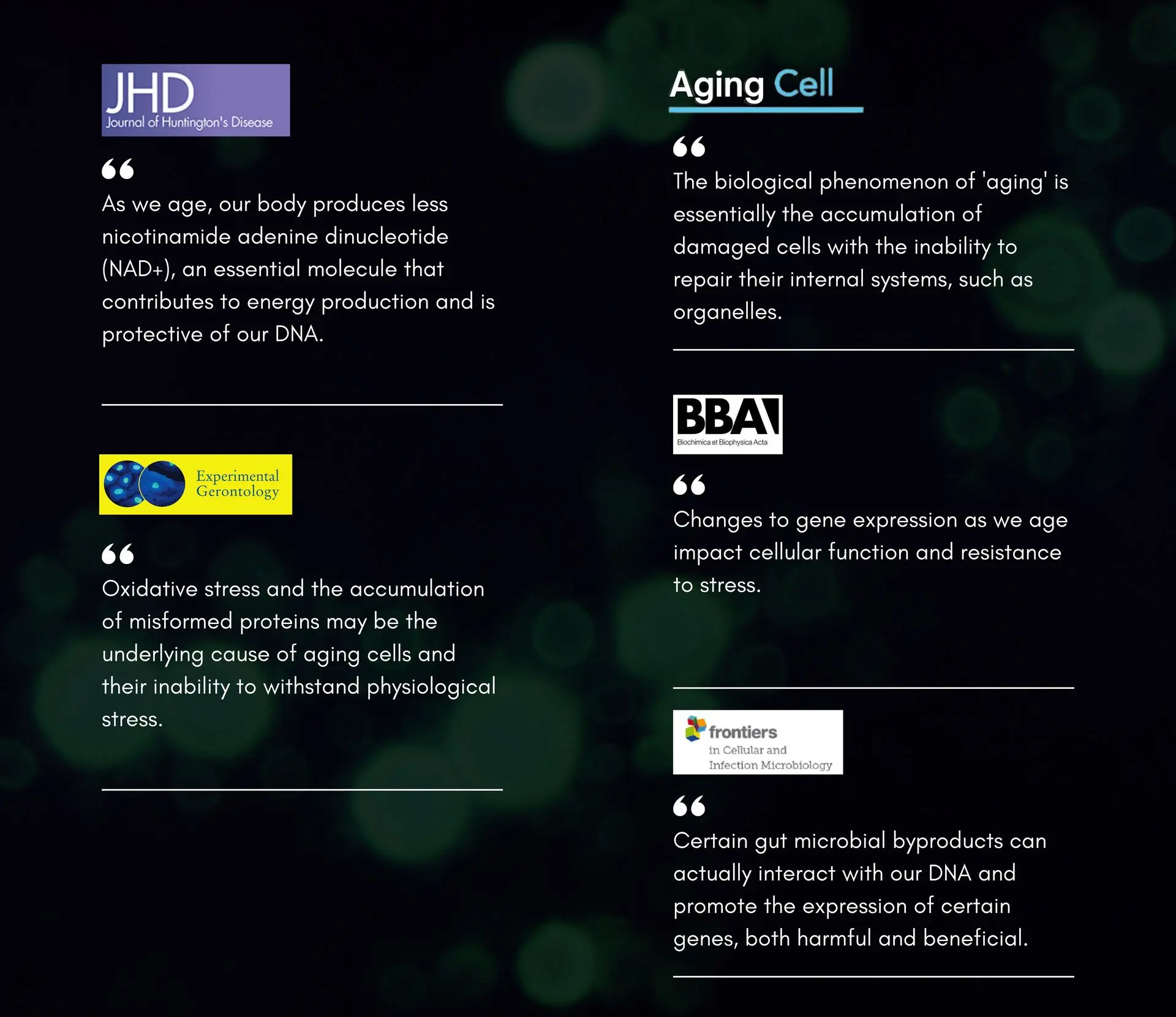 Cellular Function Cells are the building blocks of life, converting nutrients into energy and performing essential functions.