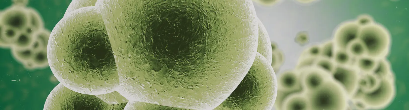 When it comes to immune health, balance is crucial. The Complete Body Analytics™ Test measures your immune system's activity levels and inflammation patterns to determine if your system is under-active, over-active, or optimally balanced.  Our personalised recommendations help calibrate your immune response - ensuring your body maintains strong defenses while avoiding unnecessary inflammation. By understanding your unique immune patterns, we help you achieve the right balance for optimal health protection.  Transform your wellbeing with an immune system that responds precisely when needed.