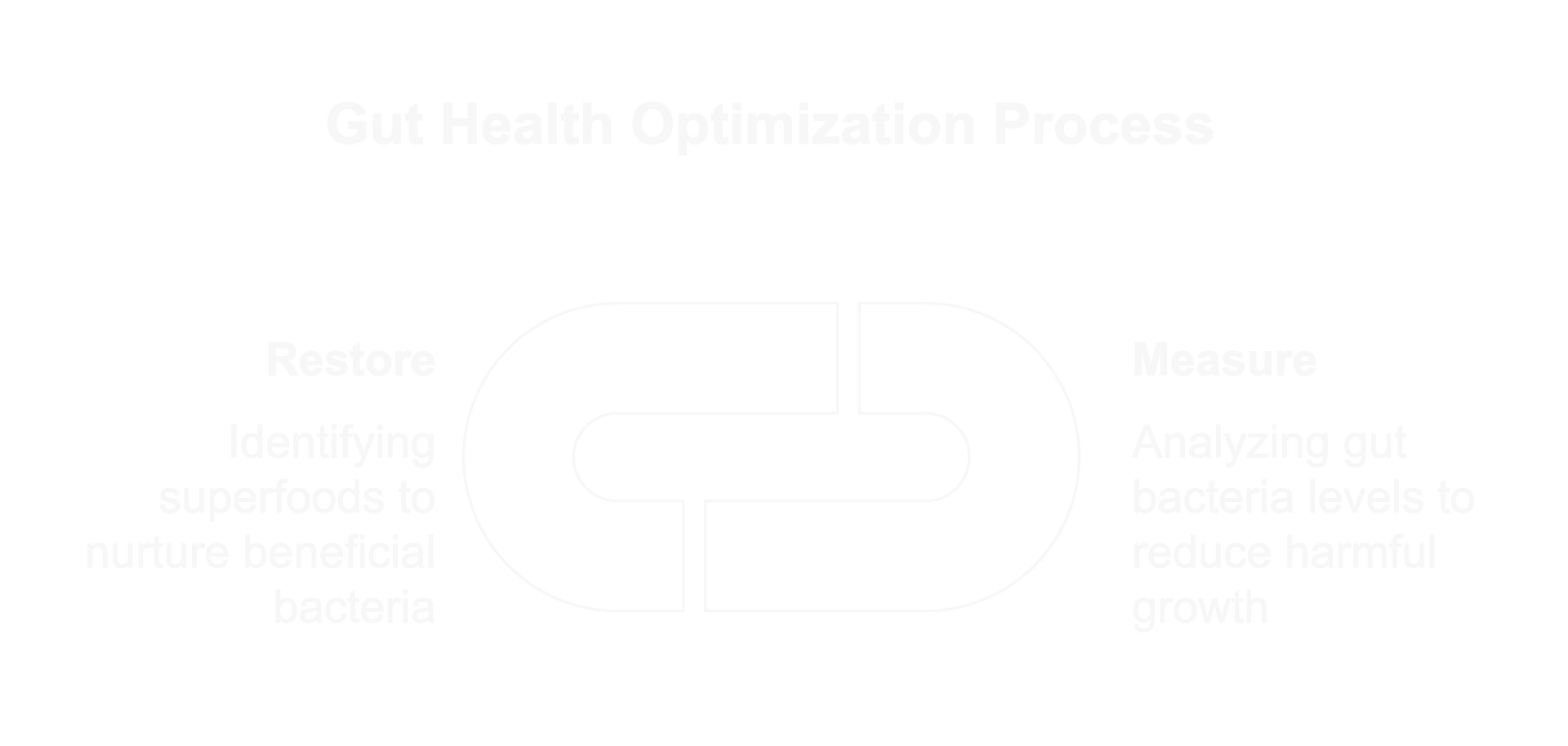 Gut Health Optimisation process Gut Health Optimisation process